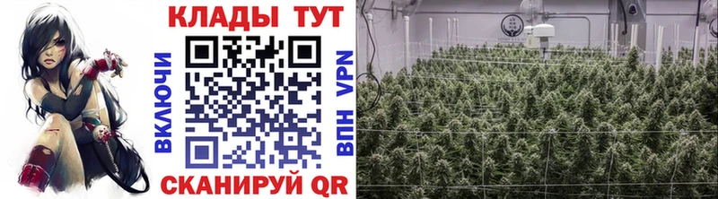 Купить наркоту Ковылкино A-PVP  Амфетамин  МЕФ  Канабис  ГАШ  blacksprut сайт  Кокаин 