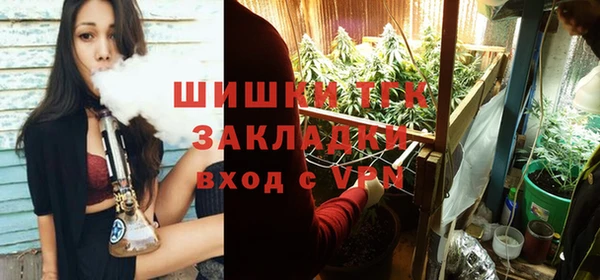 ПСИЛОЦИБИНОВЫЕ ГРИБЫ Алексеевка