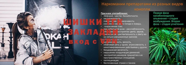 ПСИЛОЦИБИНОВЫЕ ГРИБЫ Алексеевка